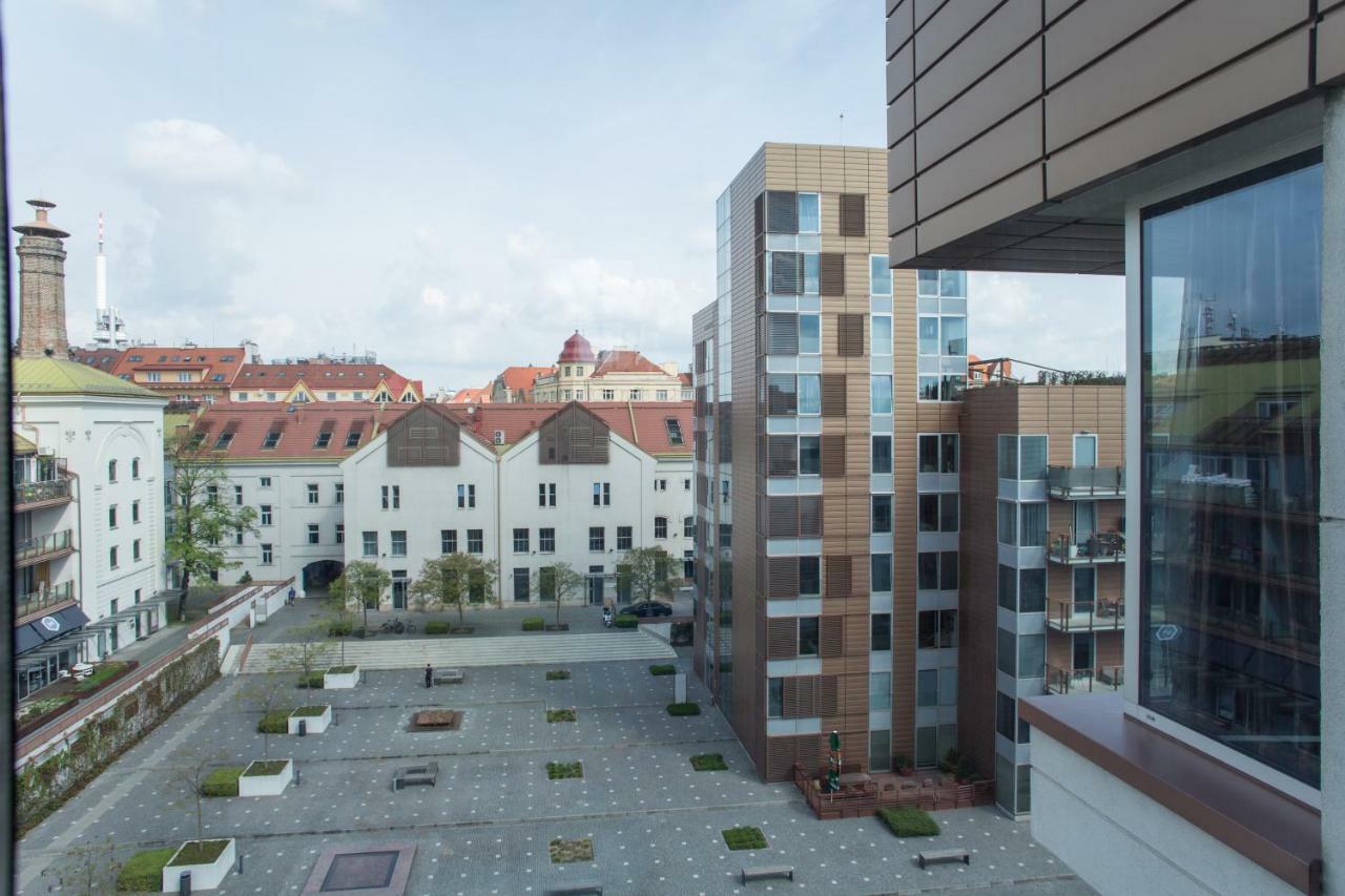 Teichmann Premium * Praga